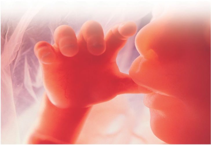 Doğum Öncesi Bebek Pedagojisi