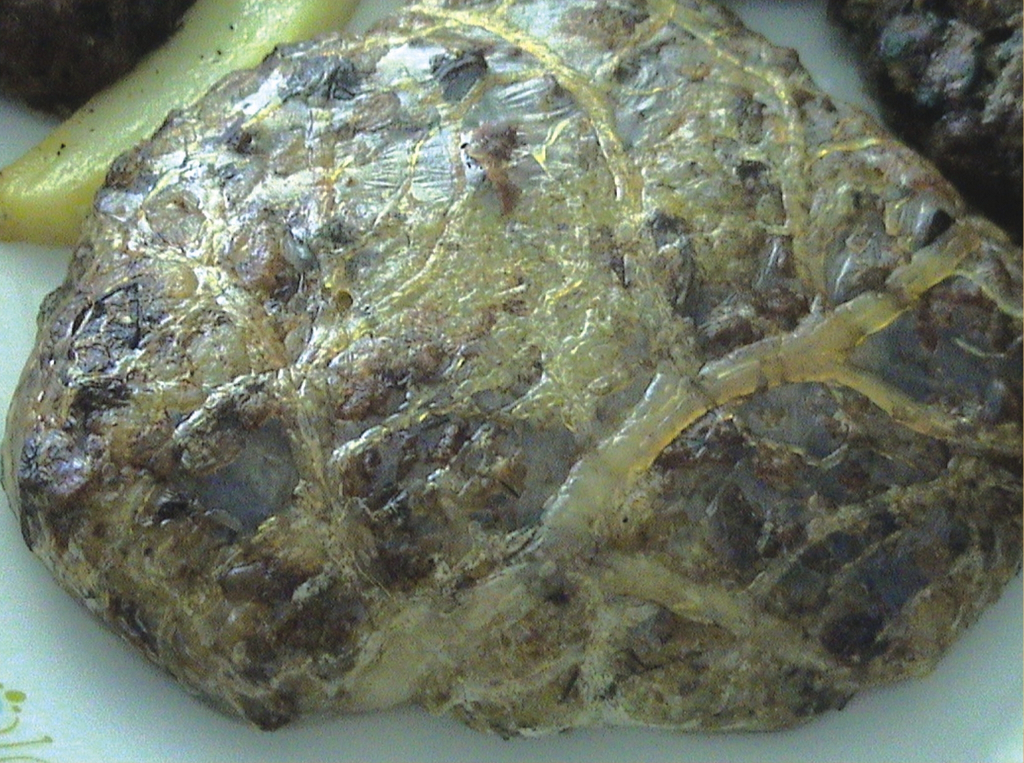 Ciğer Sarması Tarifi Ciğer Sarması Tarifi