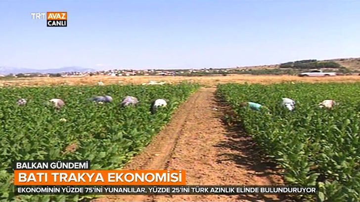 Batı Trakya Türkü Çiftçiler, Yaşadıkları Ekonomik Zorlukları Anlatıyor