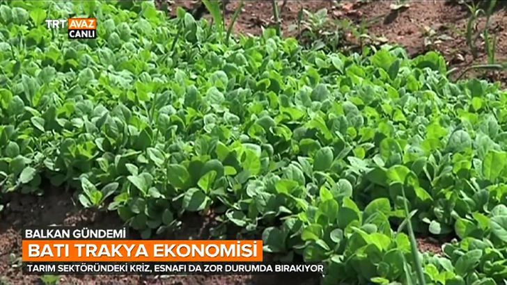 Batı Trakya’daki Ekonomik Kriz Esnafı da Zor Durumda Bırakıyor