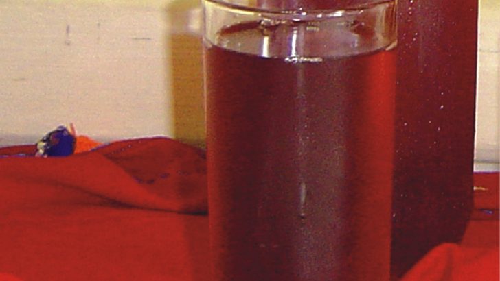 Kızılcık Hoşafı